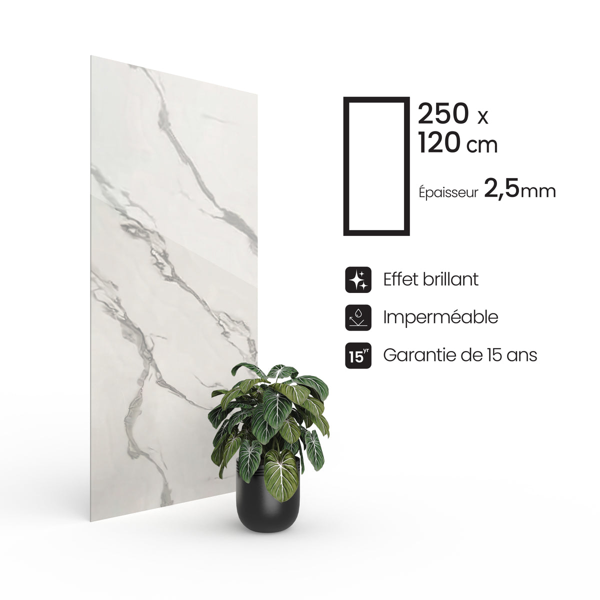 Panneau PVC - Effet Marbre Blanc - 250 x 120 cm – 100% Imperméable - 15 ans Garantie